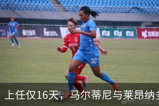 上任仅16天，马尔蒂尼与莱昂纳多辞去意大利足协职务
